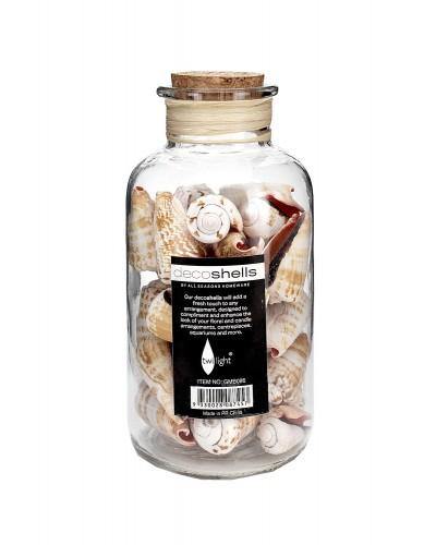 Bottled Decorative Seashells - 750g - The Base Warehouse